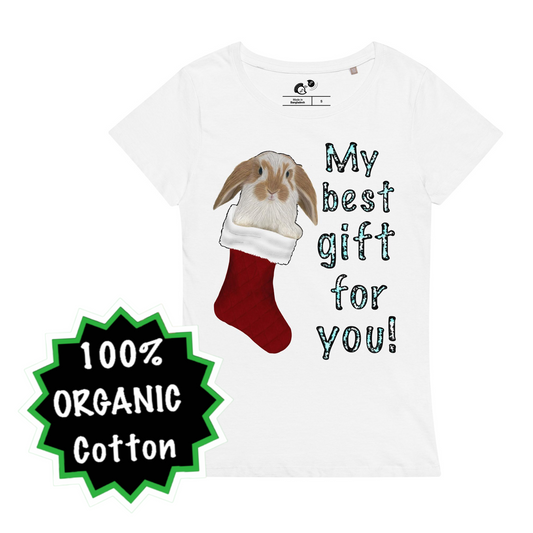 My best gift for you! Women’s basic organic t-shirt